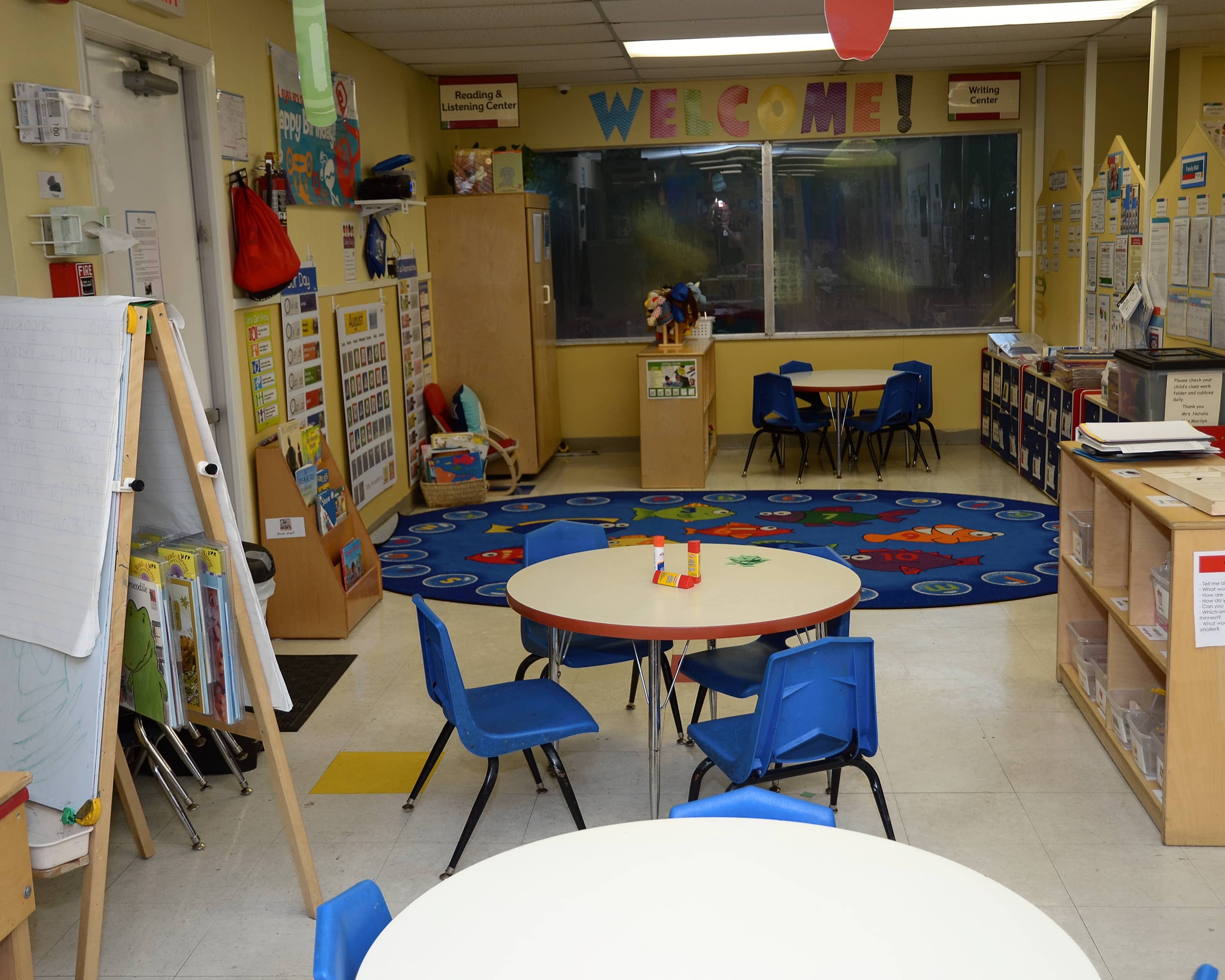 Cambridge visual data 7